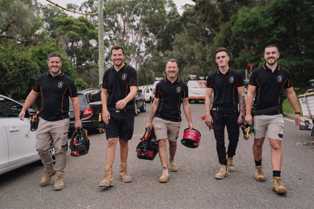 Professional electrical services in Earlwood